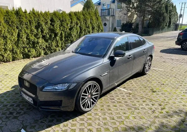 jaguar Jaguar XF cena 172200 przebieg: 90432, rok produkcji 2018 z Kleszczele